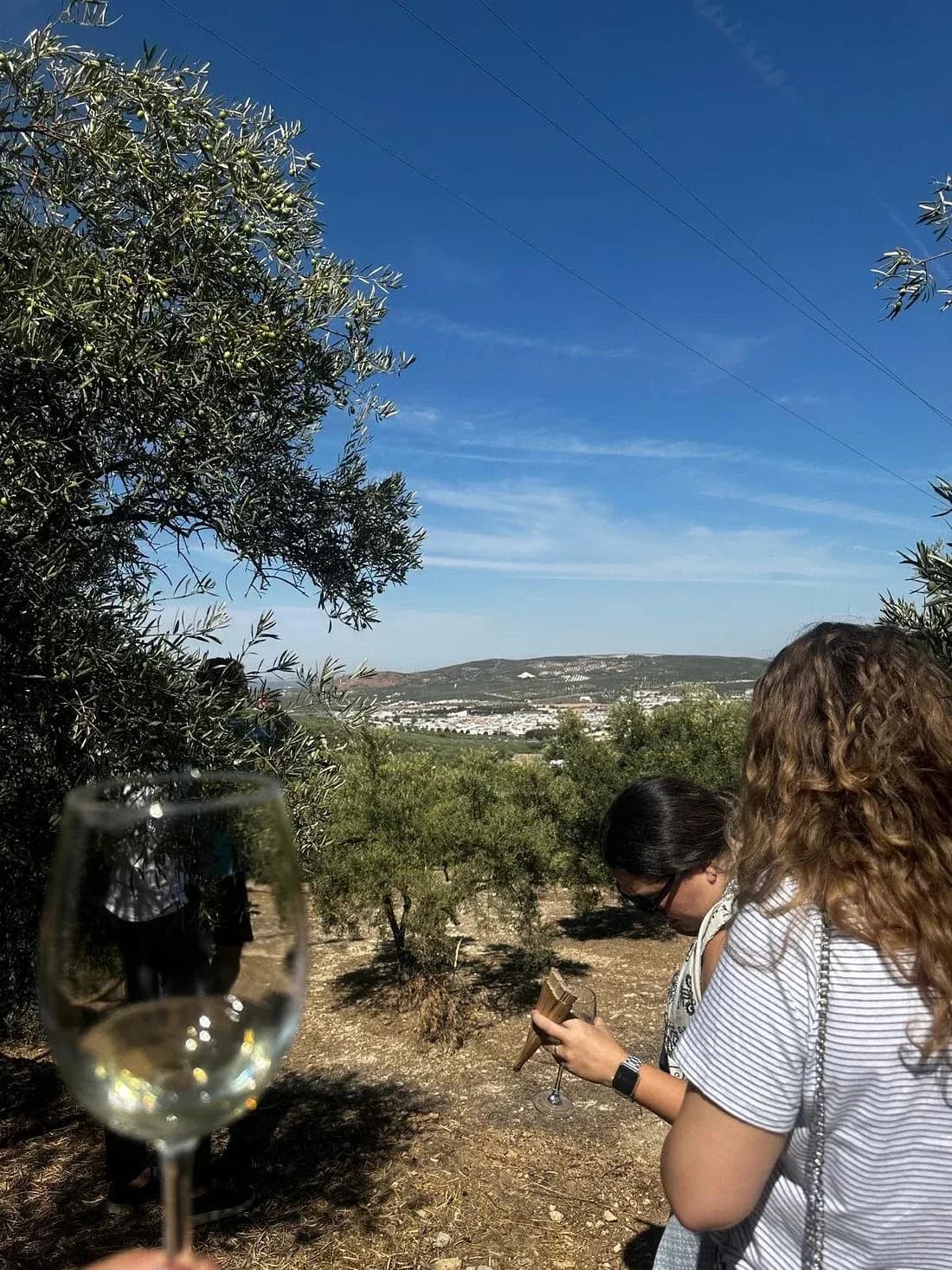 4 Generaciones · Oleoturismo y catas