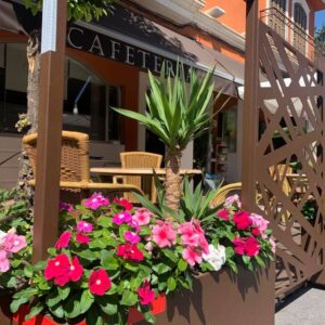 Cafetería Juanito